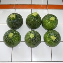 courgettes (env. 1,8kg)